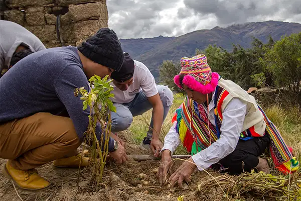 Nuna Raymi social impact in the Cusco region